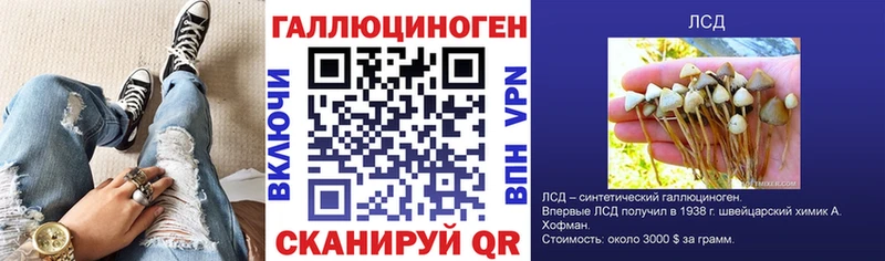 Галлюциногенные грибы Cubensis  Купить закладки  Советск 